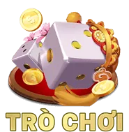 Dịch vụ hỗ trợ khách hàng chuyên nghiệp